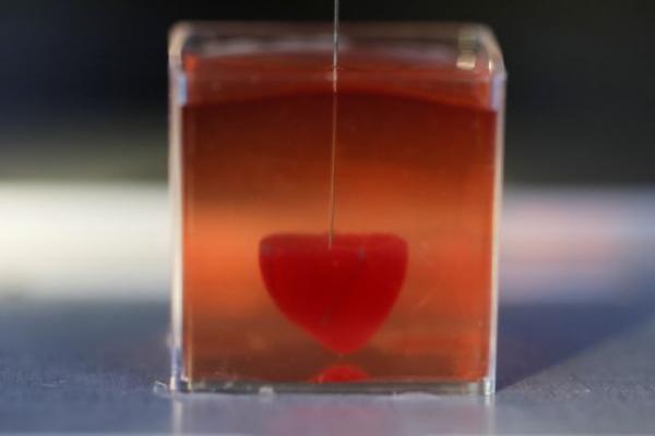 Πραγματικότητα η πρώτη 3D καρδιά από ανθρώπινο ιστό και με αγγεία