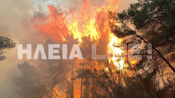 Ηλεία : Στο έλεος πυρκαγιάς το σπάνιο δάσος της Στροφυλιάς