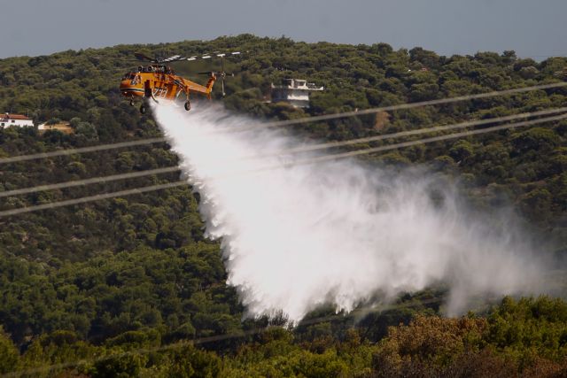 Ηθελαν «Νέο Μάτι;» – Σχέδιο εμπρησμού διερευνά η Πυροσβεστική