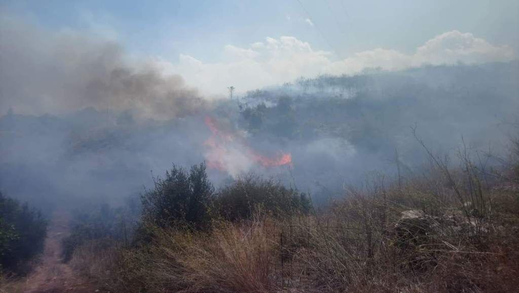 Υπό έλεγχο η νέα φωτιά στον δήμο Γόρτυνας