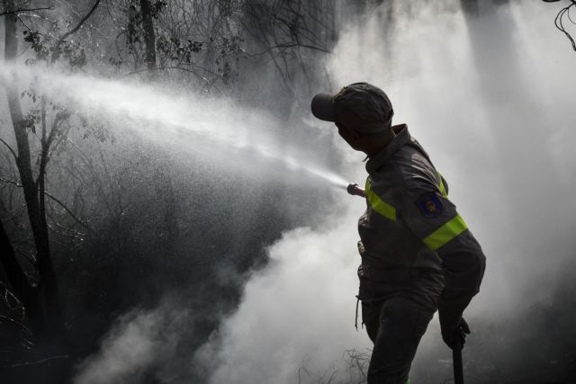 Μαίνεται πυρκαγιά στην περιοχή των Φαρσάλων