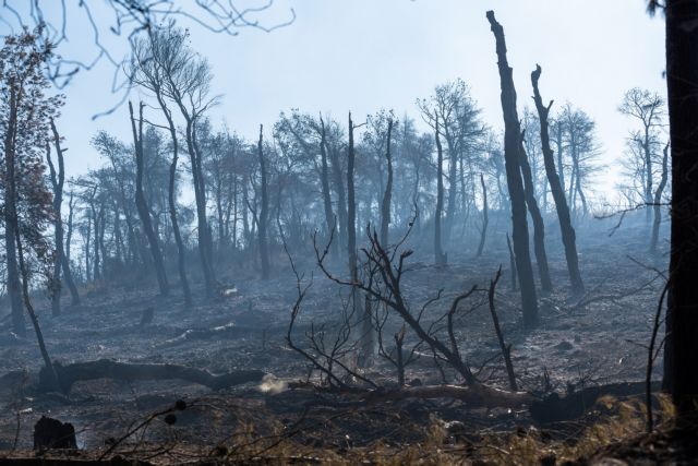 Οριοθετημένη η φωτιά στην Εύβοια – «Κρανίου τόπος» έγινε το δάσος