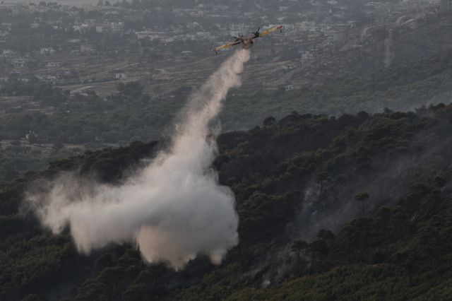 Πυρκαγιά σε εξέλιξη στον Δομοκό Φθιώτιδας