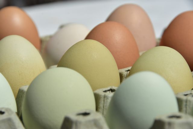 Ποια οφέλη έχουν τα αυγά για την υγεία μας;