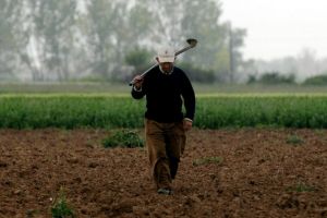 Ποσό 805.000 ευρώ για τη θωράκιση του φυτικού κεφαλαίου της χώρας