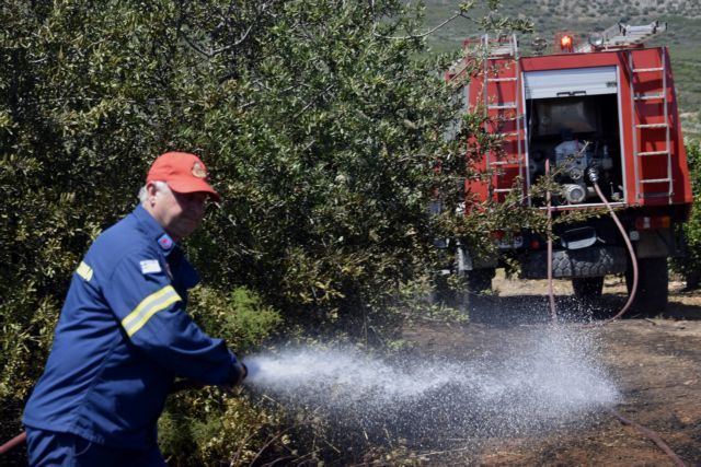 Νέα φωτιά στο Κατσαρώνι στην Κάρυστο