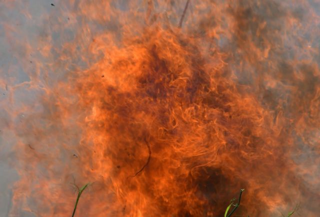 Πυρκαγιά ξανά στο Κοντοδεσπότι Εύβοιας