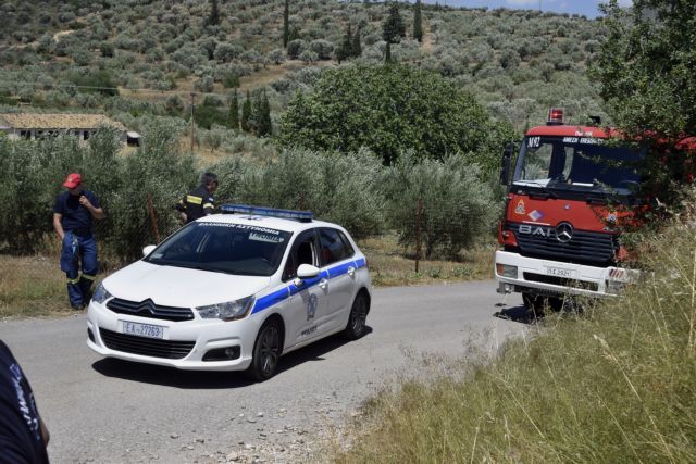 Ρόδος : Φωτιά καίει δασική έκταση κοντά στον Ασκληπιό