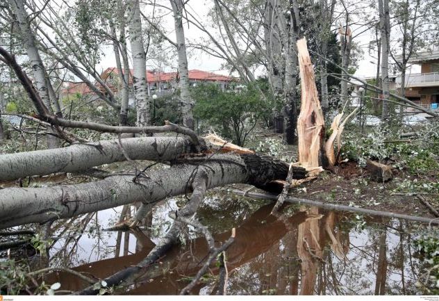 Κέρκυρα : Η κακοκαιρία προκάλεσε πλημμύρες, διακοπές ρεύματος και πτώση δέντρων