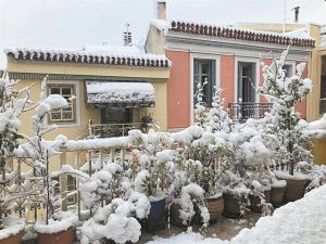 Ολοι έκλειναν στον φακό τους το χιόνι…