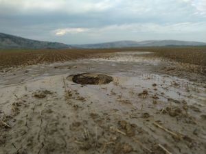 Τυφλό και αχαρτογράφητο ρήγμα εντόπισε στην Ελασσόνα ερευνητική ομάδα του ΑΠΘ