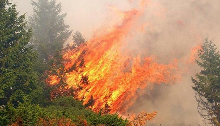 Φωτιά στην Άνω Ποταμιά Σπάρτης