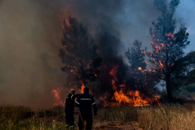 Πάτρα: Φωτιά στην περιοχή Μοιραίικα