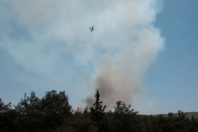 Φωτιά στην Εύβοια: Υπό έλεγχο το πύρινο μέτωπο