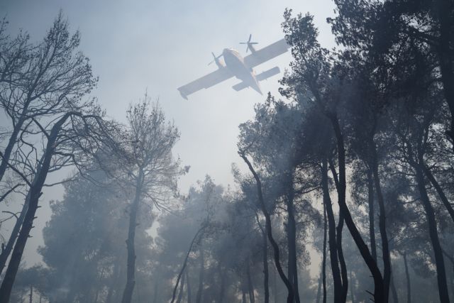 Φωτιά σε Σταμάτα, Ροδόπολη και Διόνυσο: «Η κατάσταση δείχνει καλύτερη»