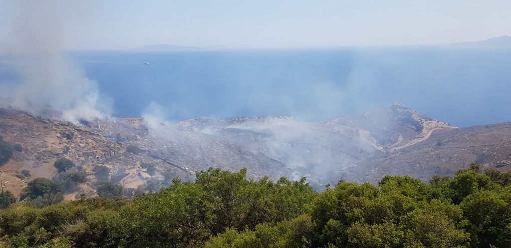 Φωτιά στην Άνδρο: Συναγερμός στην Πυροσβεστική