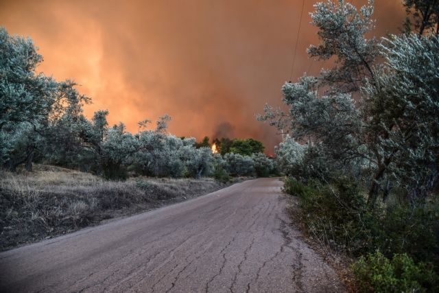 Το τελευταίο 24ωρο εκδηλώθηκαν 68 πυρκαγιές