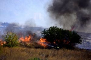 Πυρκαγιά εκδηλώθηκε στη Χασιά Αττικής