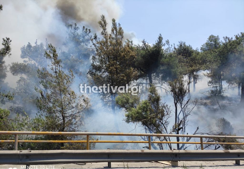 Θεσσαλονίκη: Φωτιά στο Σέιχ Σου – Μεγάλη κινητοποίηση της πυροσβεστικής