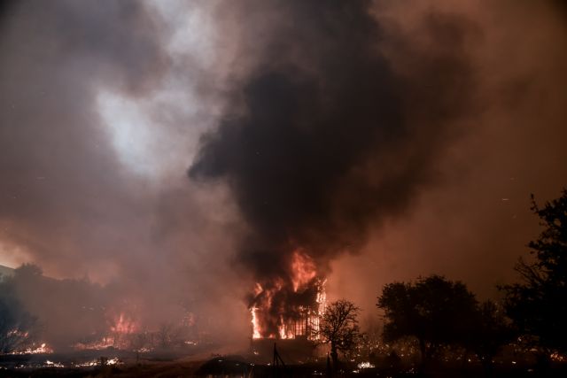 Κόλαση φωτιάς στα Βίλια – Μάχη να μείνουν οι φλόγες εκτός οικισμού