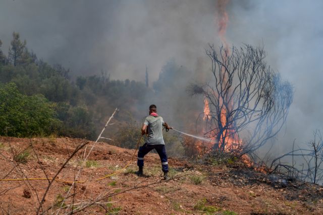 Υπό έλεγχο η πυρκαγιά που ξέσπασε νωρίτερα στη Αρχαία Ολυμπία