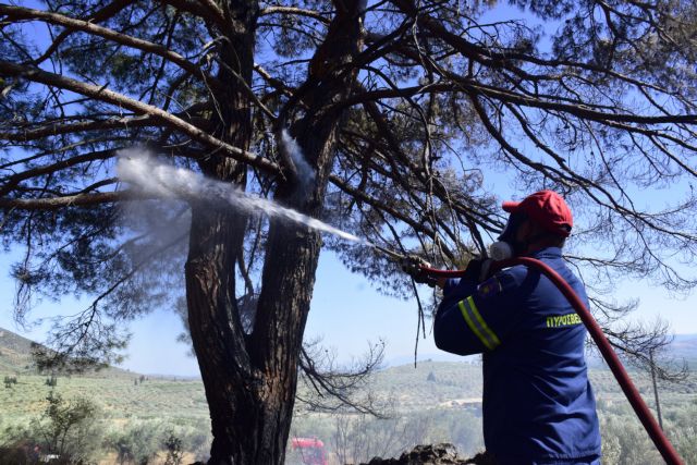 Δυτική Μακεδονία: Τρία τα πύρινα μέτωπα σε Κοζάνη και Γρεβενά