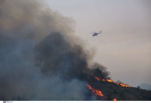 Φωτιές – Δύο προσαγωγές σε Κρυονέρι και Φωκίδα – Αναζητείται ύποπτος στην Ηλεία