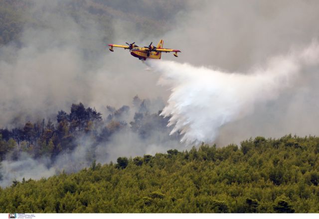 Φωτιά στην Κερατέα – Βρέθηκαν υπολείμματα φωτοβολίδας στο Δασκαλειό – Αποκαλυπτικό βίντεο