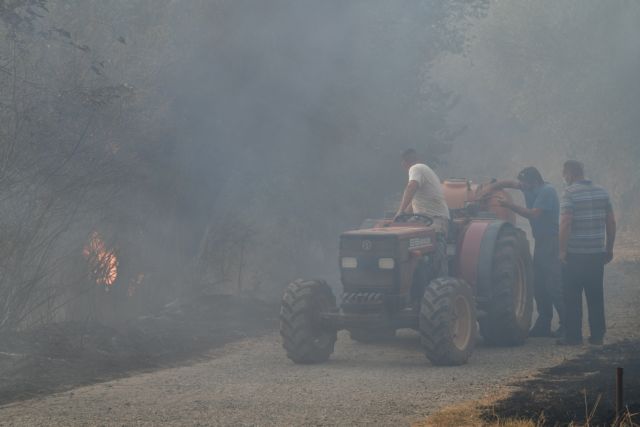 Φωτιές – Αυτός είναι ο επιχειρησιακός σχεδιασμός της Πυροσβεστικής σε Εύβοια και Γορτυνία