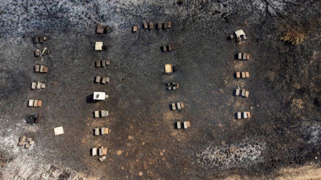 Φωτιές στην Εύβοια – Πώς θα υποβληθούν οι δηλώσεις αναστολών συμβάσεων εργασίας από τις επιχειρήσεις που επλήγησαν