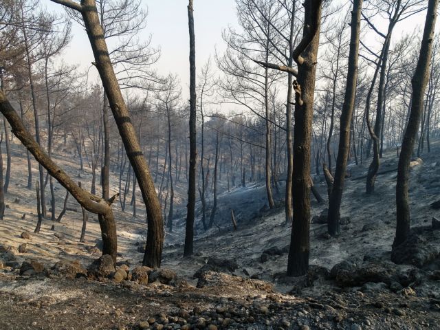 Νέα φωτιά ξέσπασε στη Ρόδο