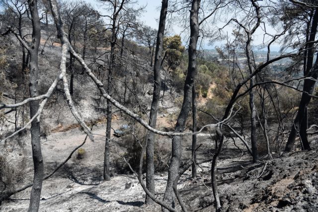 Αχαΐα – Πώς μπήκαν οι φωτιές σε Δροσιά και Ελεκίστρα – Τι έγινε στη Ζήρια