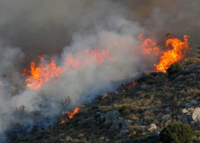 Σε ύφεση η φωτιά στον Άγιο Θωμά, στον δήμο Γόρτυνας