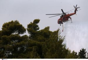 Φωτιά στη Μεσσηνία – Νέο μήνυμα του 112 για εκκένωση οικισμών