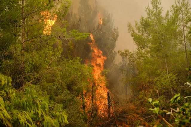 Πολιτική Προστασία – Πολύ υψηλός κίνδυνος πυρκαγιάς σήμερα σε Εύβοια και Αττική