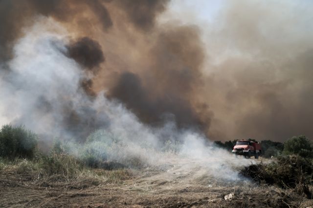 Φωτιά στην Ηλεία: Μάχη με τις φλόγες στη Νεμούτα – Πληροφορίες για εγκλωβισμένους στα Χάνια