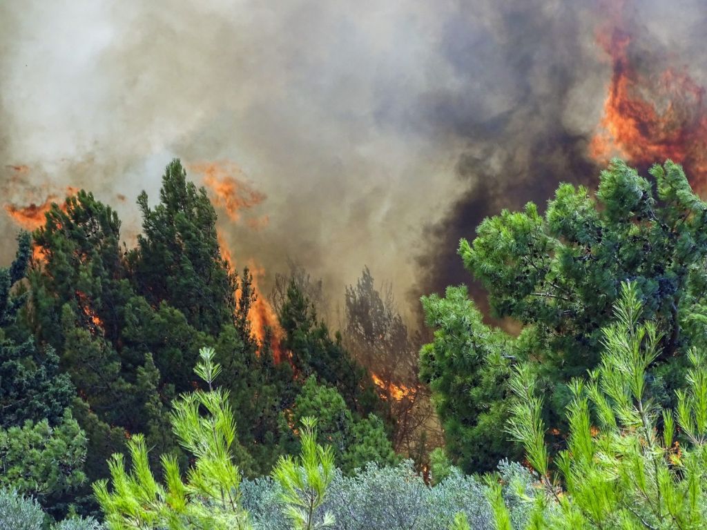 Φωτιά στην Εύβοια – Πληροφορίες για εγκλωβισμένους στις Κεχριές και τη Μουρτιά