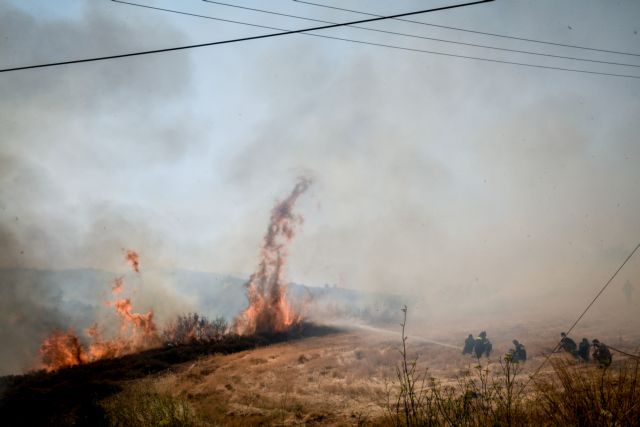 Φωτιές – Προκαταρκτική έρευνα για την δικηγόρο που «προσευχόταν» να καεί η Εκάλη και το Καστρί