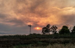 Φωτιά στην Εύβοια – Πυροσβέστες εγκλωβίστηκαν στους Κουρκουλούς