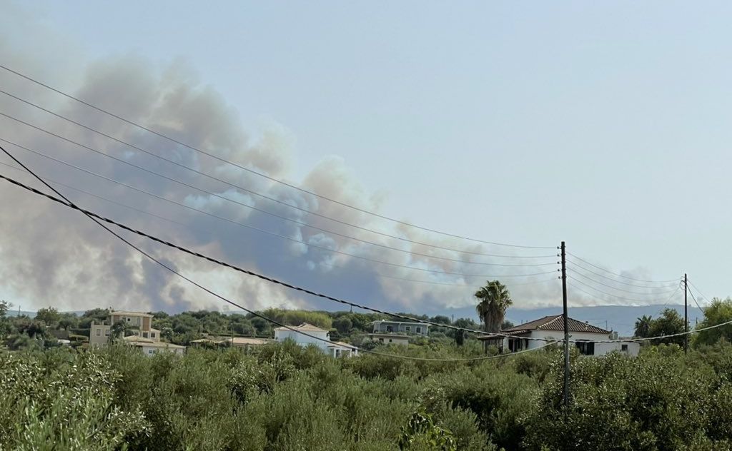 Μάχη με τις φλόγες για να μη μπει η φωτιά στο Γύθειο