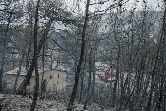 ΚΙΝΑΛ για φωτιές: Την ώρα της κρίσης, το επιτελικό κράτος κατέρρευσε