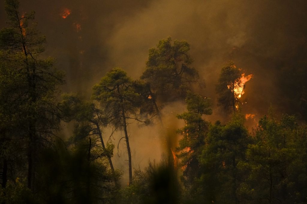 Φωτιές – Η Πυροσβεστική συνεχίζει να επιχειρεί σε Γορτυνία, Αρχαία Ολυμπία και Ανατολική Μάνη