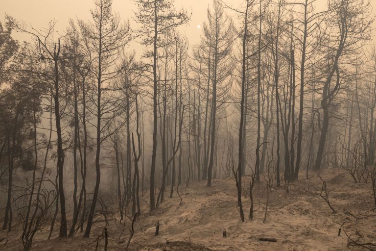 Φωτιά στην Εύβοια – «Έχω σταματήσει να ελπίζω»