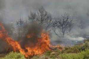 Νέα φωτιά στους πρόποδες της Πάρνηθας