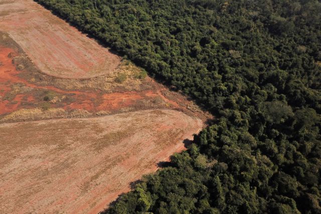 COP26 – Τέλος στην αποδάσωση υπόσχονται πάνω από 100 χώρες