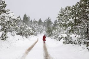 Καιρός – Χιόνια ακόμη και στην Αττική, καταιγίδες και πτώση της θερμοκρασίας