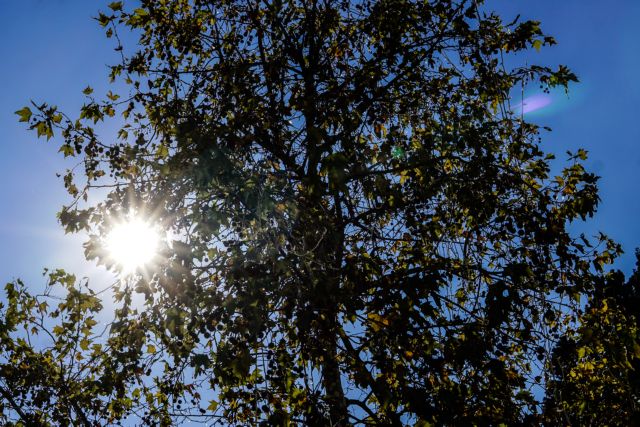 Καιρός – Βροχές, αφρικανική σκόνη και άνοδος της θερμοκρασίας την Κυριακή