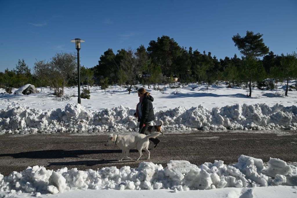Αρναούτογλου: «Καμπανάκι» για τη νέα κακοκαιρία που φέρνει χιόνια και ισχυρούς ανέμους – Ποιες περιοχές απειλούνται