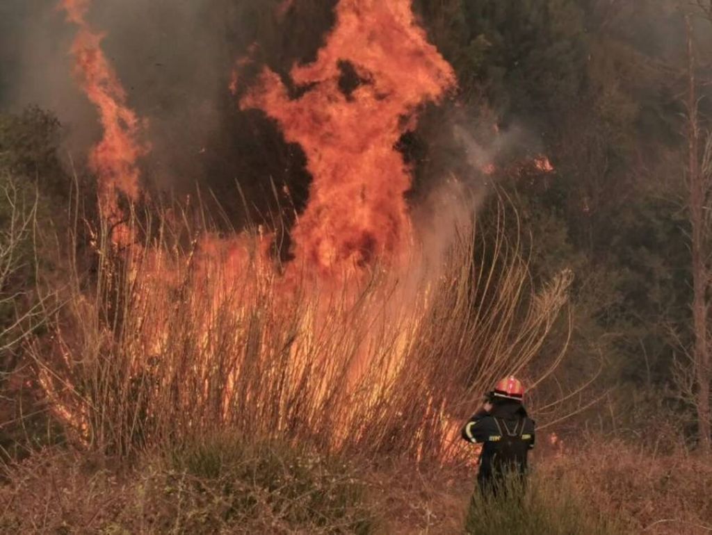 Ενισχύονται οι δυνάμεις για την κατάσβεση της πυρκαγιάς στη Σάμο