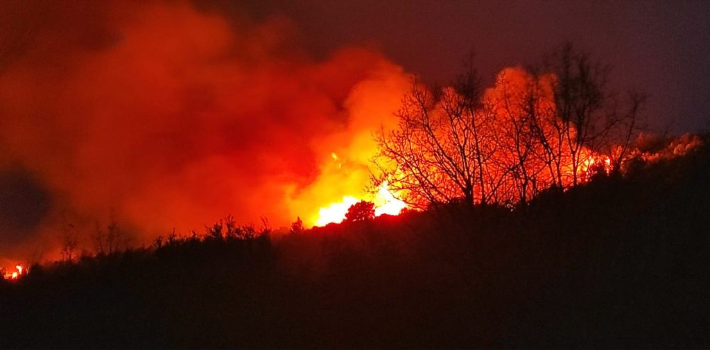 Καίγεται δασική έκταση στην Ηλεία